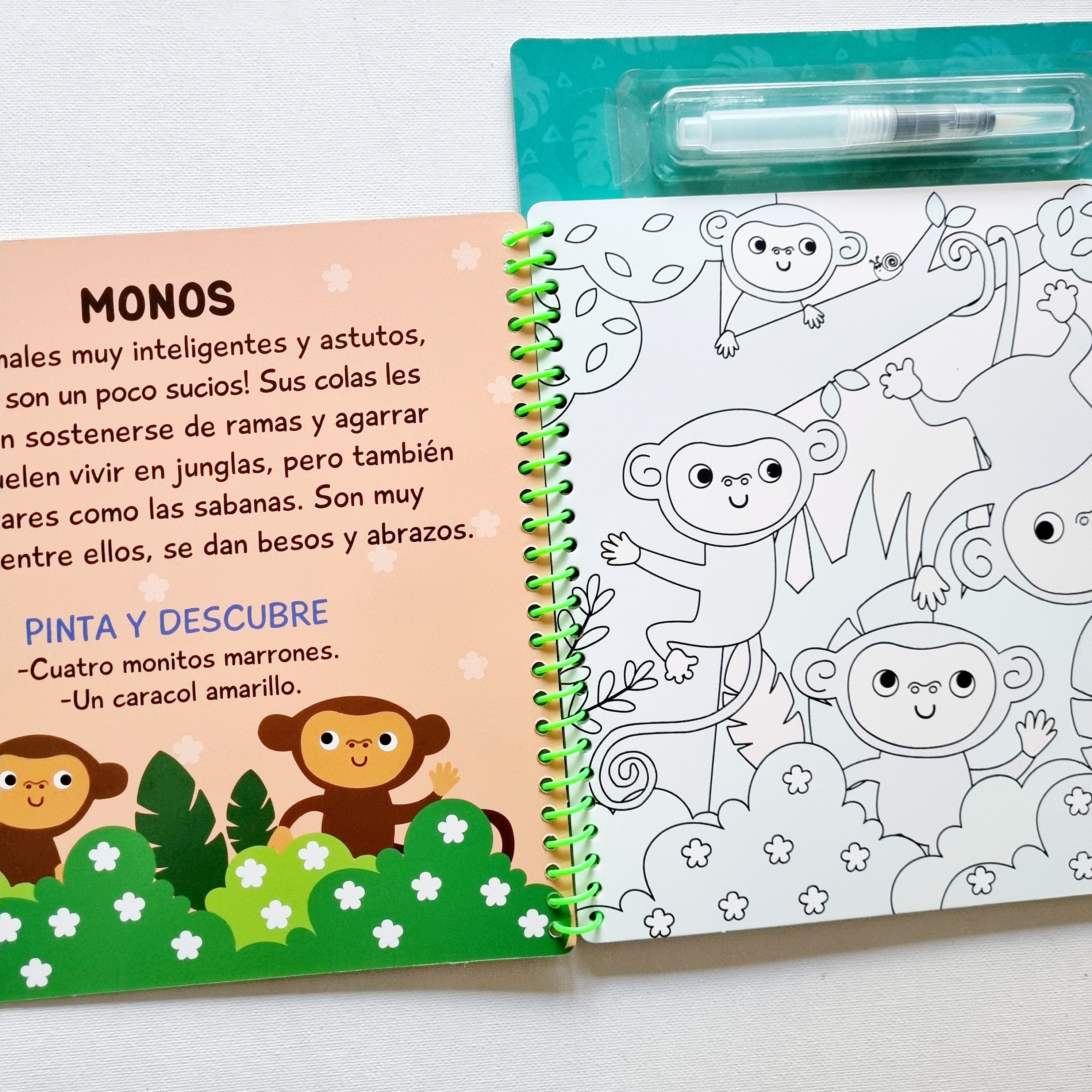 Magia al agua. En la jungla pinto con agua Magia al agua. En la jungla pinto con agua